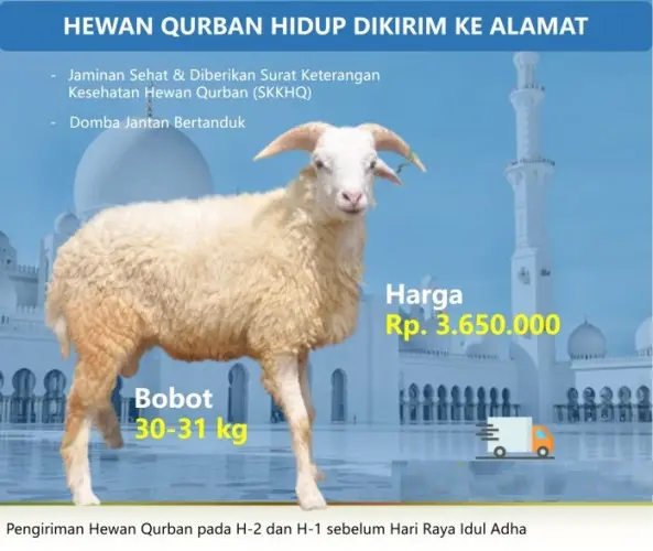 Kurban - Qurban Domba  pulomerak cilegon